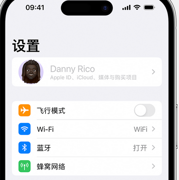 工农appleID维修服务iPhone设置中Apple ID显示为灰色无法使用