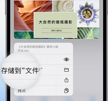 工农apple维修中心分享iPhone文件应用中存储和找到下载文件