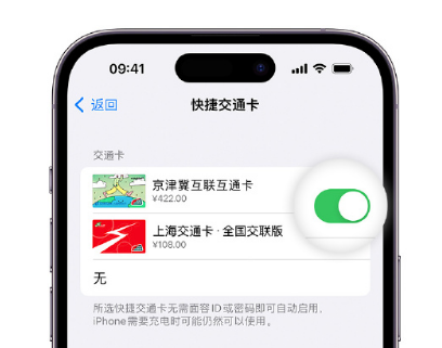 工农apple维修点分享iPhone上更换Apple Pay快捷交通卡手绘卡面 