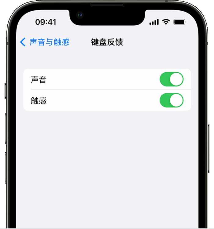 工农苹果14维修店分享如何在 iPhone 14 机型中使用触感键盘 