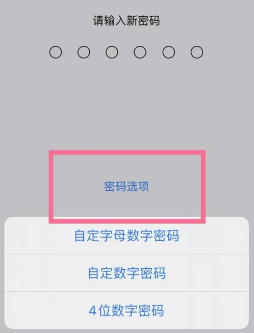 工农苹果14维修分享iPhone 14plus设置密码的方法 