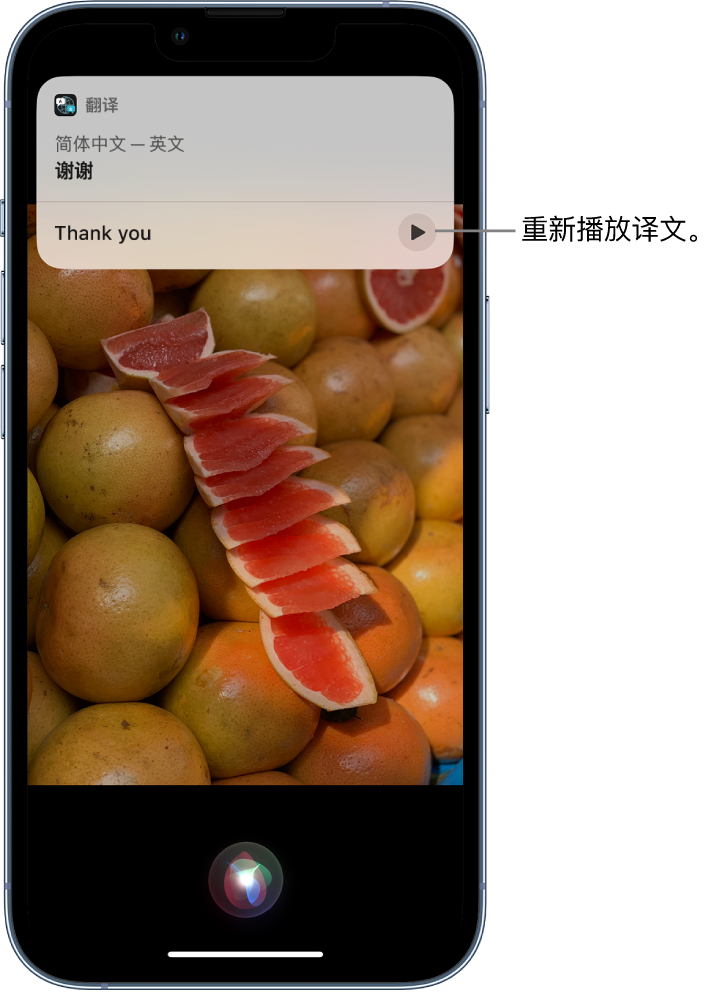 工农苹果14维修分享 iPhone 14 机型中使用 Siri：了解 Siri 能帮你做什么 